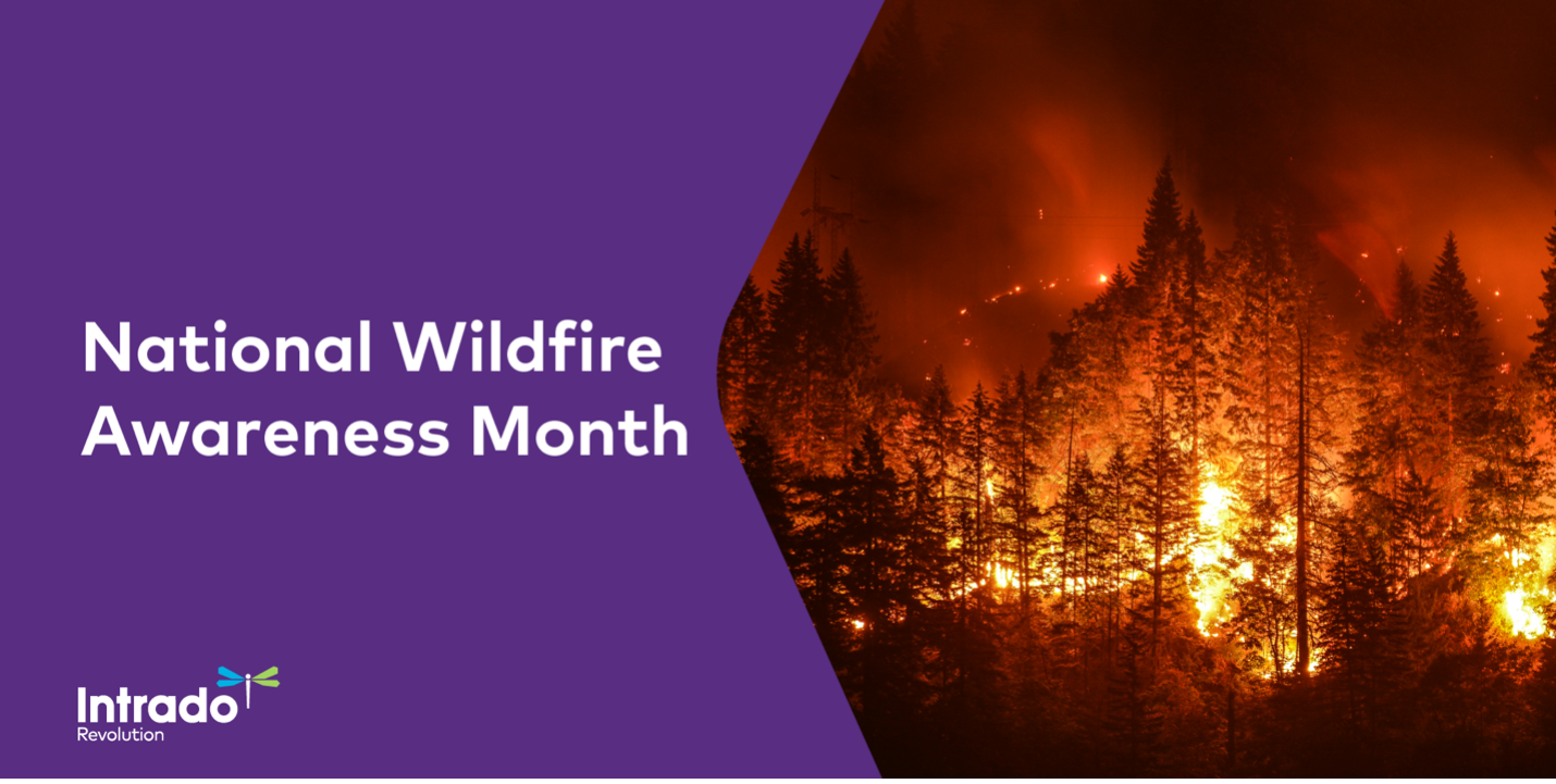 Wildfire Safety